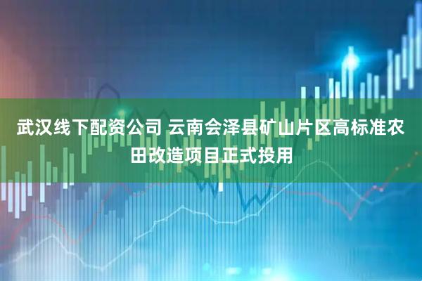 武汉线下配资公司 云南会泽县矿山片区高标准农田改造项目正式投用